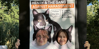 Two people hold a large poster in front of themselves, covering their bodies and showing only their faces through two circular cutouts. The poster features two cat heads with black fur and white markings at the top. Large text at the top reads: 'HENRY & THE GANG AGAINST HARASSMENT'. Below, a box contains the text: 'Follow the 5Ds'. To the right, five terms are listed: 'DIRECT', 'DISTRACT', 'DELEGATE', 'DELAY', 'DOCUMENT'. At the bottom, the poster displays: 'SchuDs' and underneath: 'Zentrale Beratungsstelle zum Schutz vor Diskriminierung und sexualisierter Gewalt'. Trees and sunlight are visible in the background.