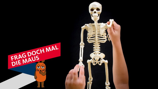 Child holds a human skeleton model with both hands against a black background, next to a speech bubble with the Mouse character and the text 'FRAG DOCH MAL DIE MAUS'.