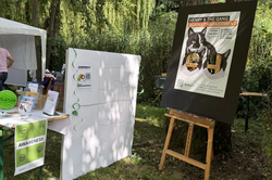 Outdoor scene with a table, a white display board, and a wooden easel holding a poster showing two cats and the text 'HENRY & THE GANG AGAINST HARASSMENT'